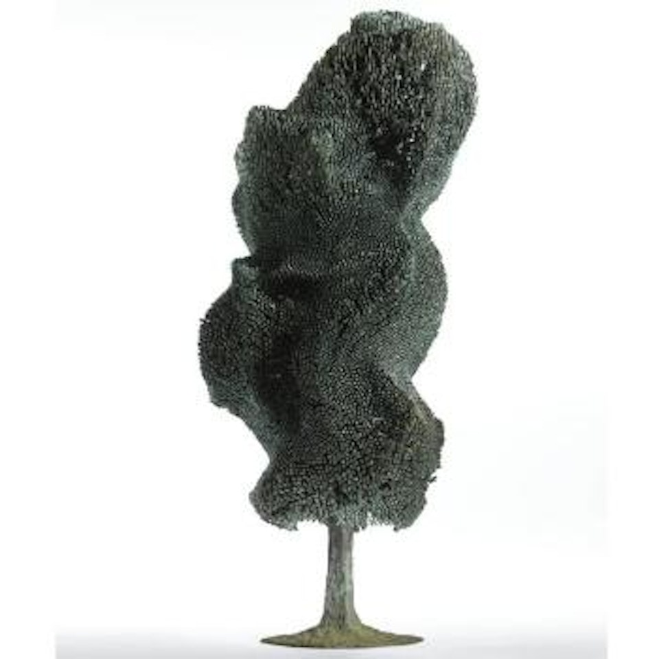 Bush by Harry Bertoia