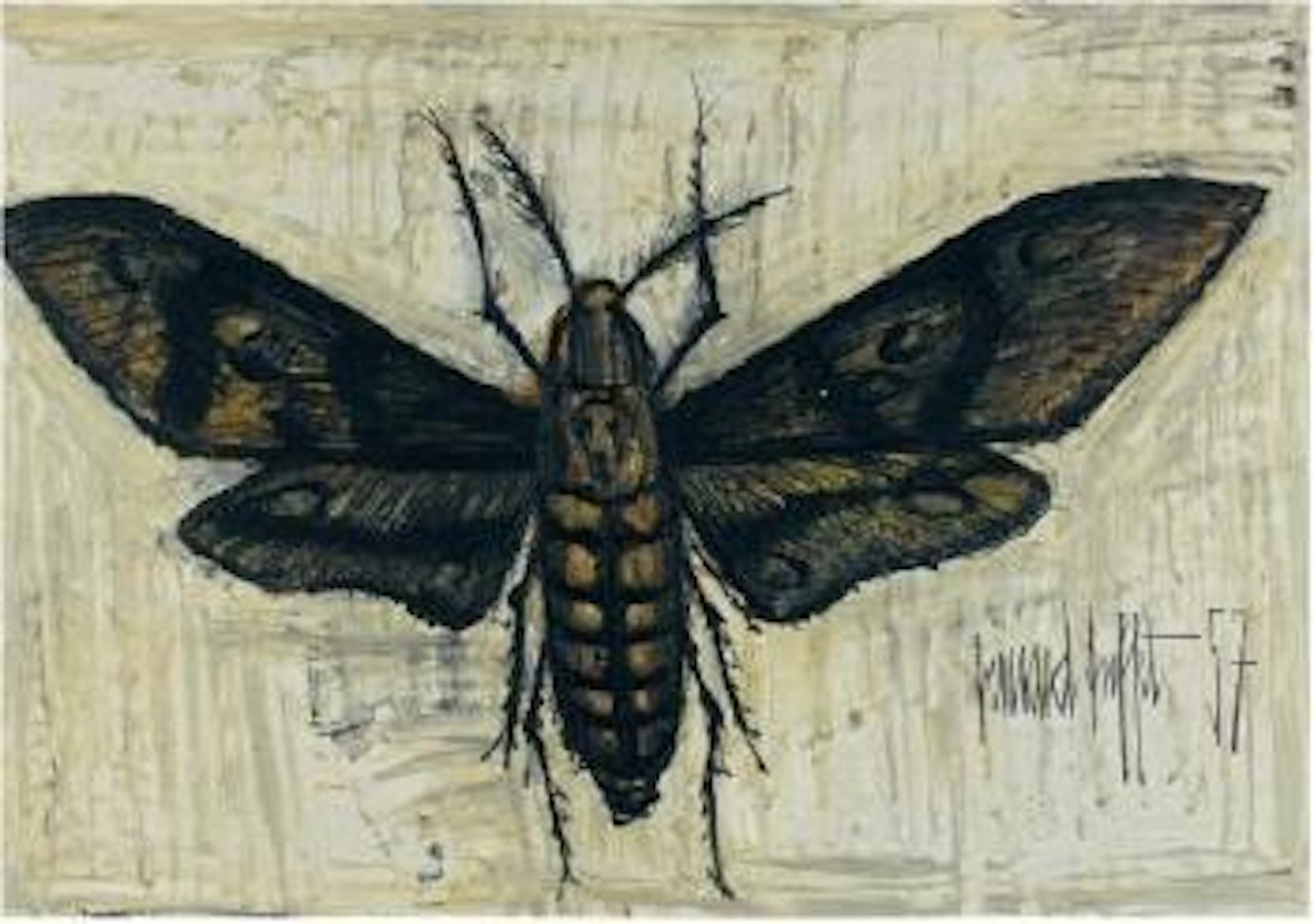 Phalène by Bernard Buffet