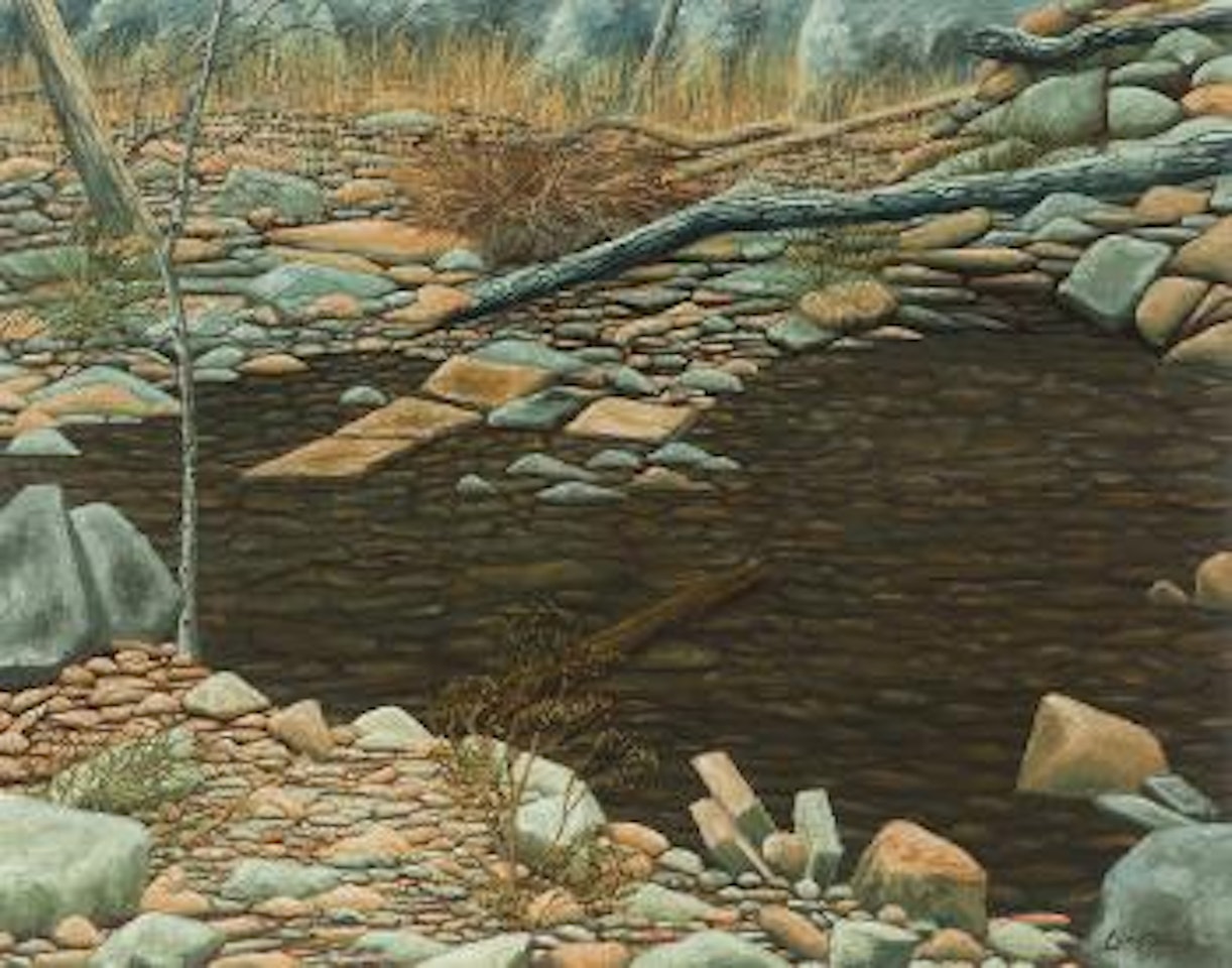 Reflective pool by Lin Onus