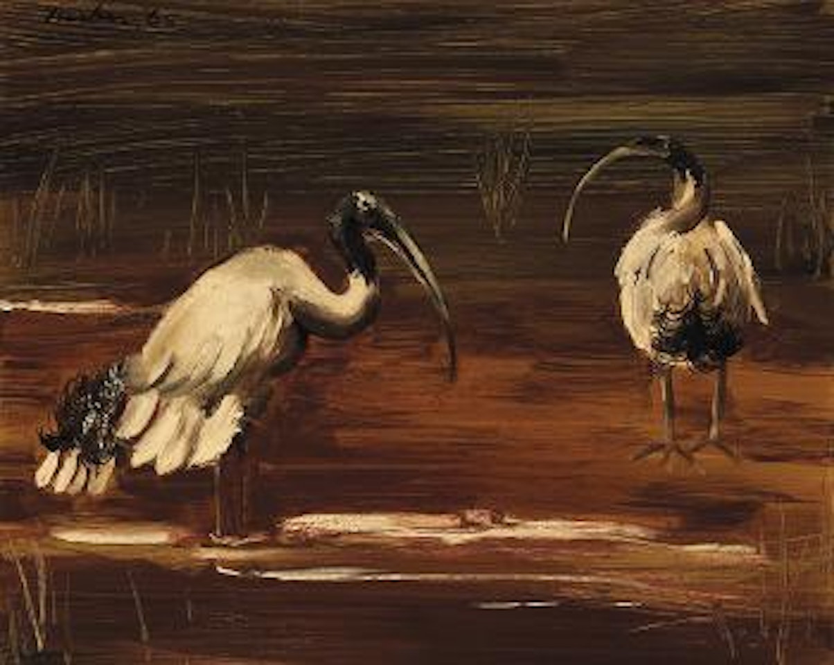 Ibises by Albert Tucker