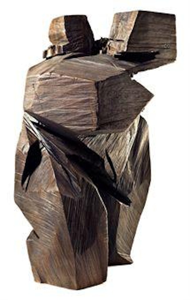 Taichi Series by Ju Ming