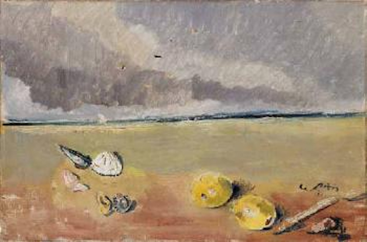 Frutti e conchiglie by Filippo de Pisis