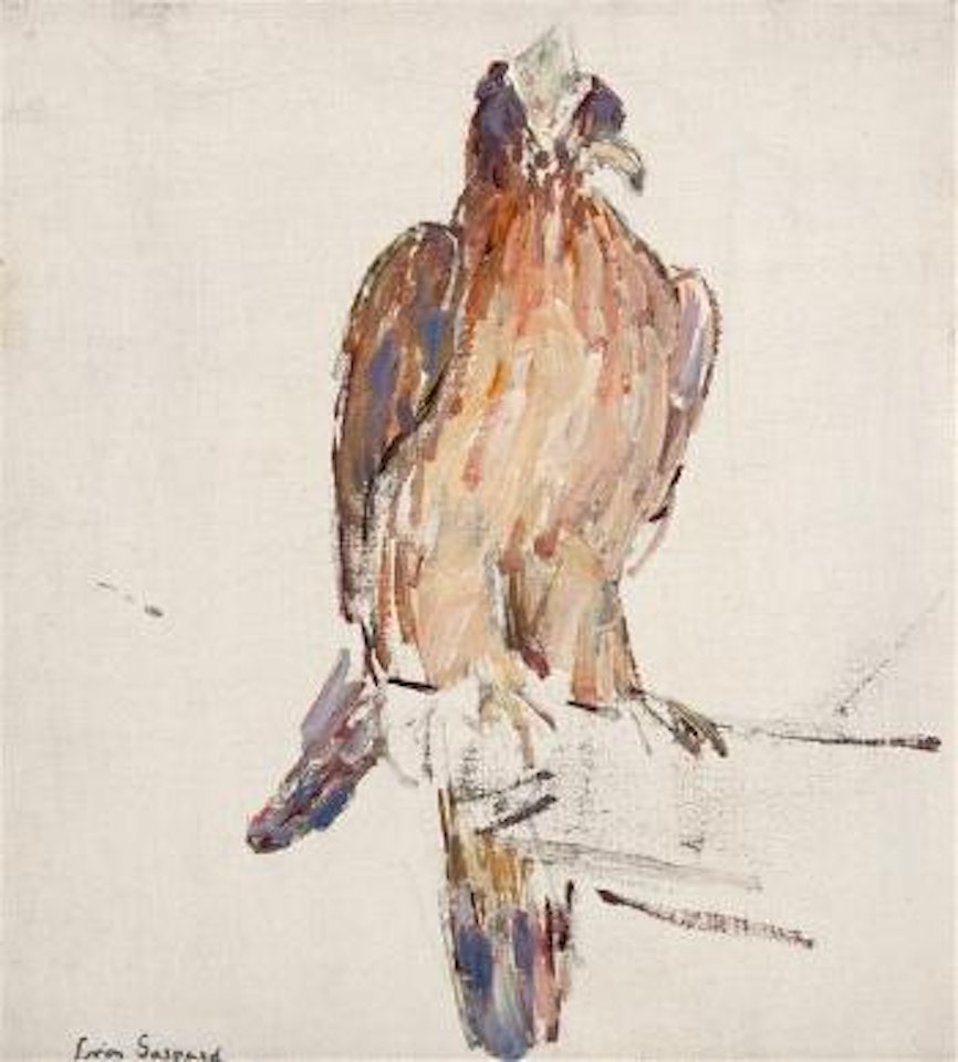 Hooded eagle by Leon Gaspard