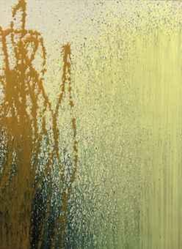 T 1989-H 23 by Hans Hartung