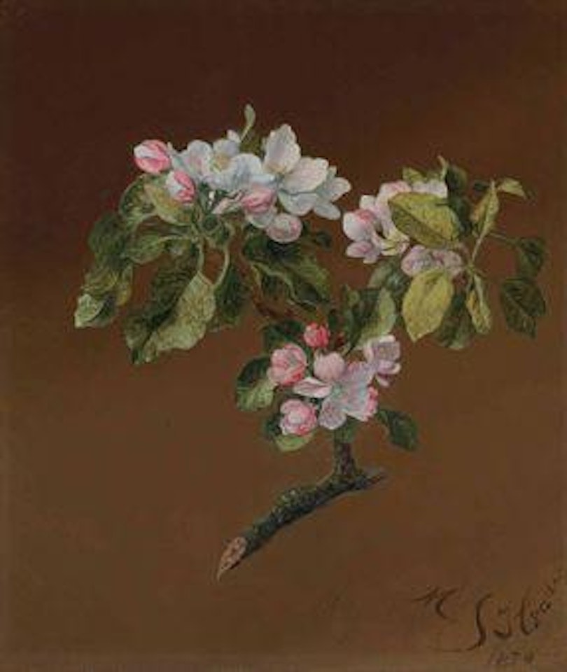 Spray of Apple Blossoms by Martin Johnson Heade