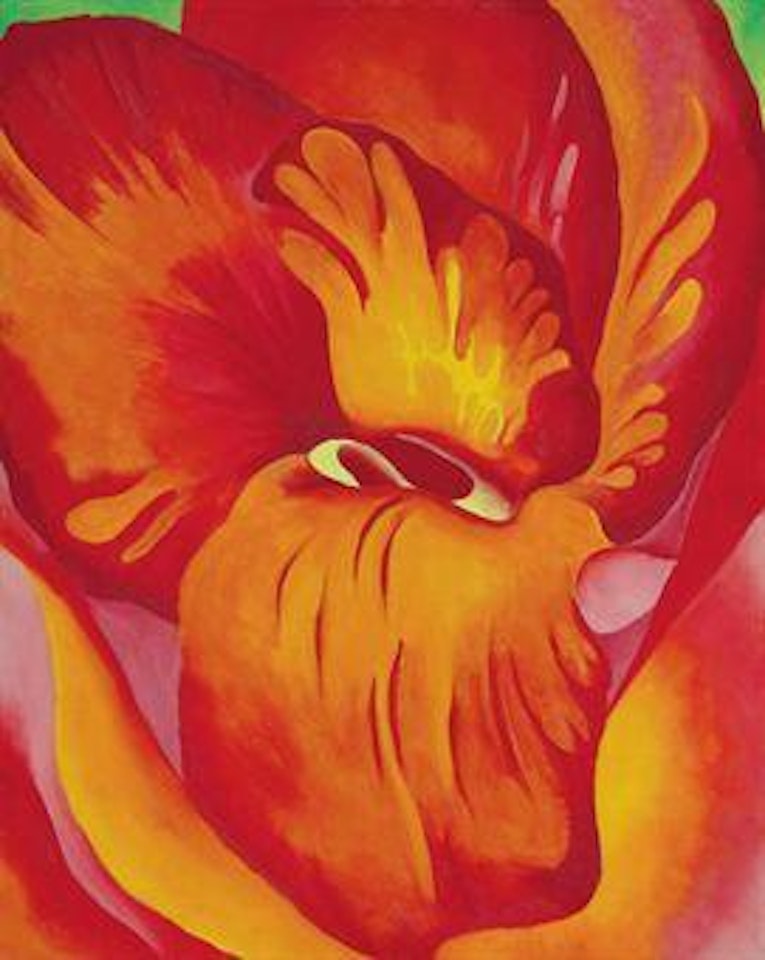 Canna Red and Orange by Georgia O'Keeffe