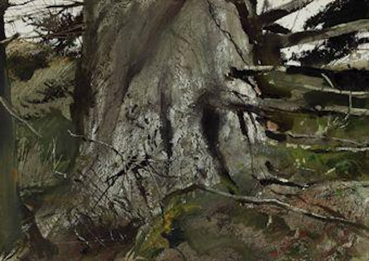 Cat Spruce by Andrew Wyeth