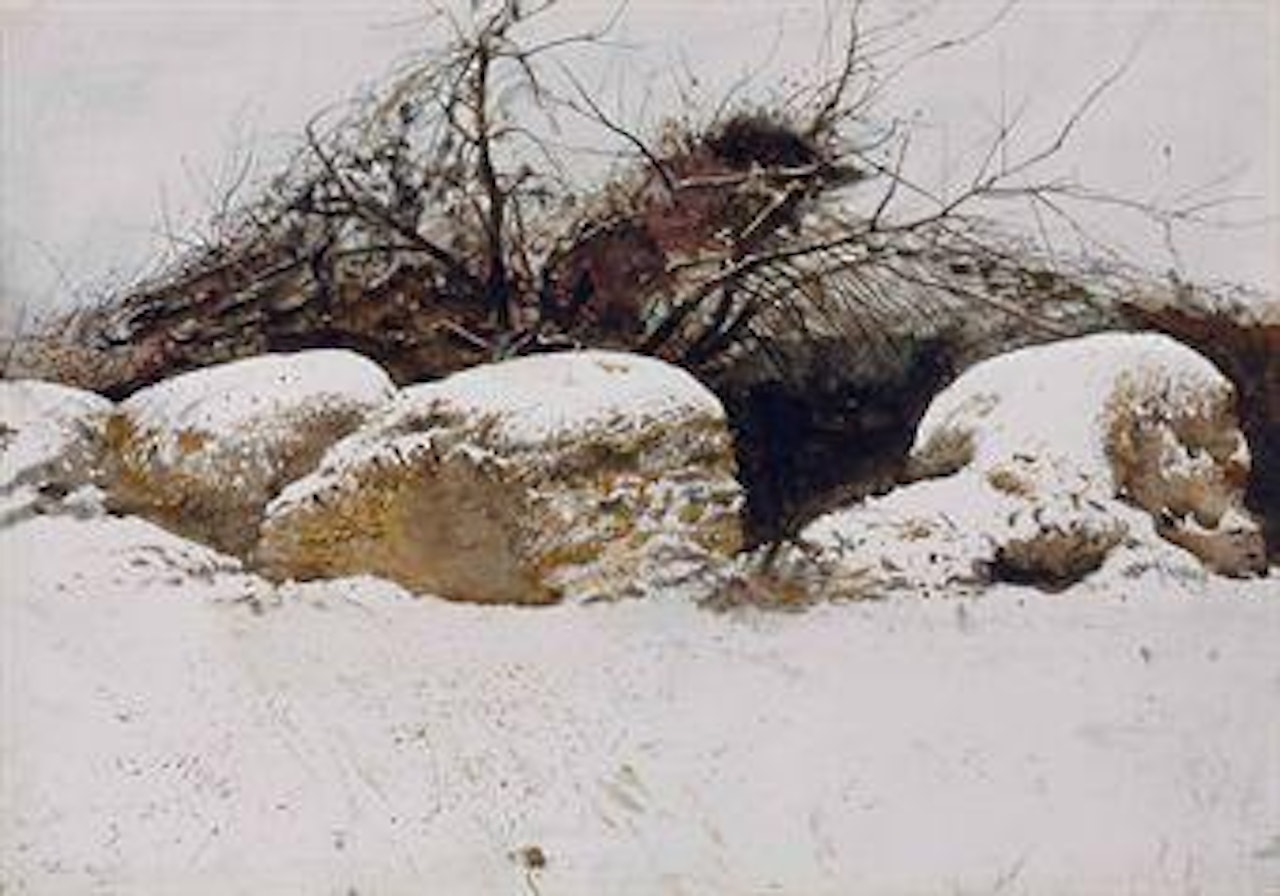 Shredded Wheat by Andrew Wyeth