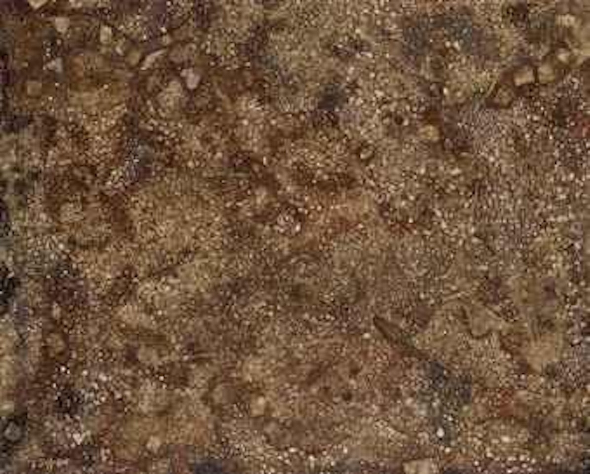 Fruits de feu du sol by Jean Dubuffet
