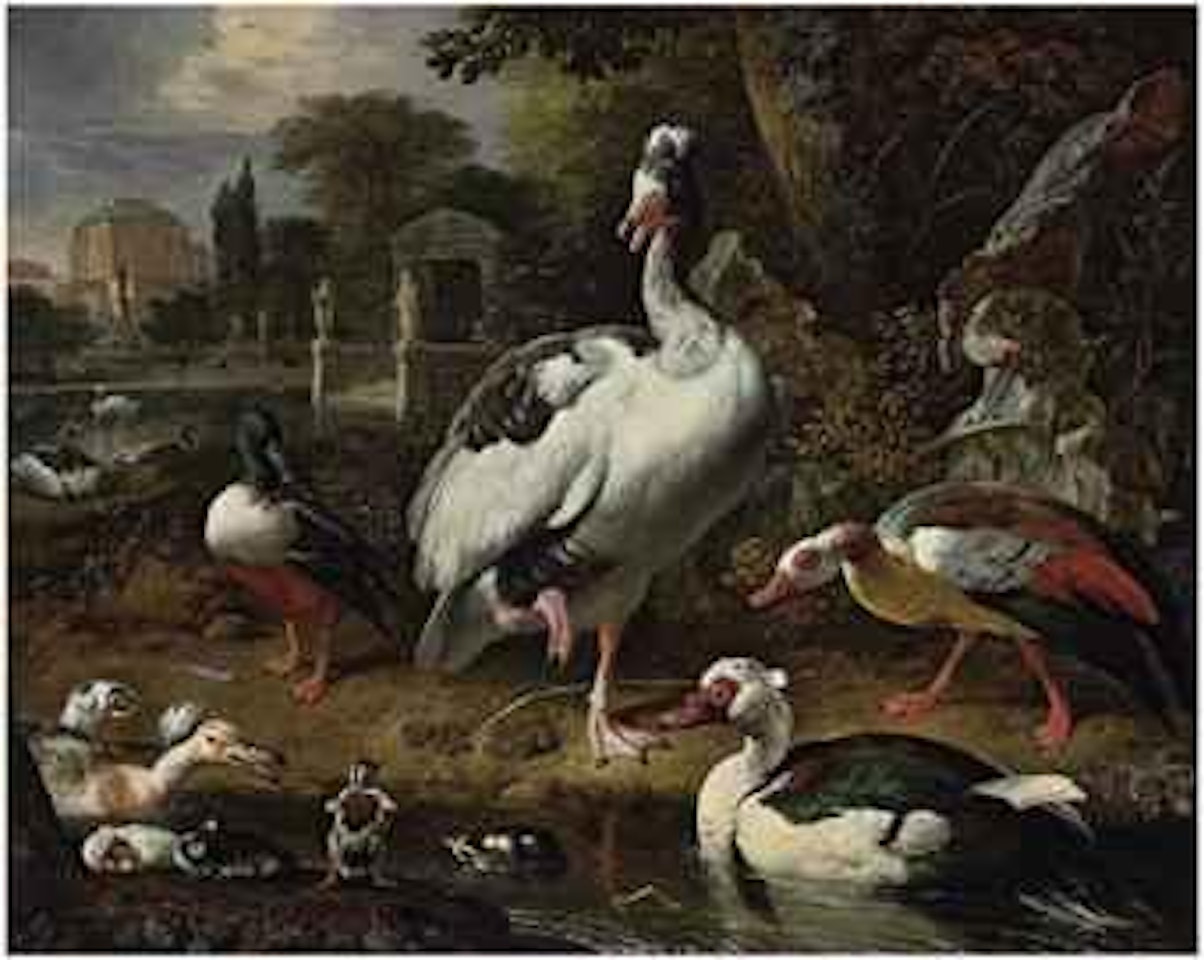 A grey and white crested goose, a shoveler, a Muscovy duck, goslings, ducklings and other fowl in a park, elegant buildings beyond by Melchior de Hondecoeter