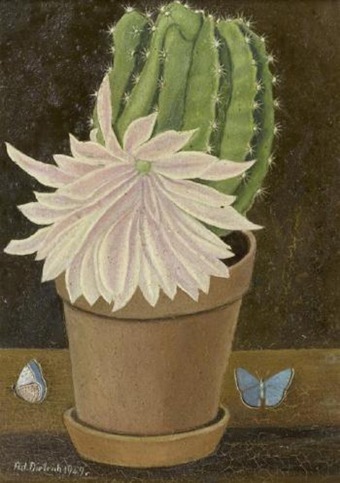 Pale pink cactus by Adolf Dietrich