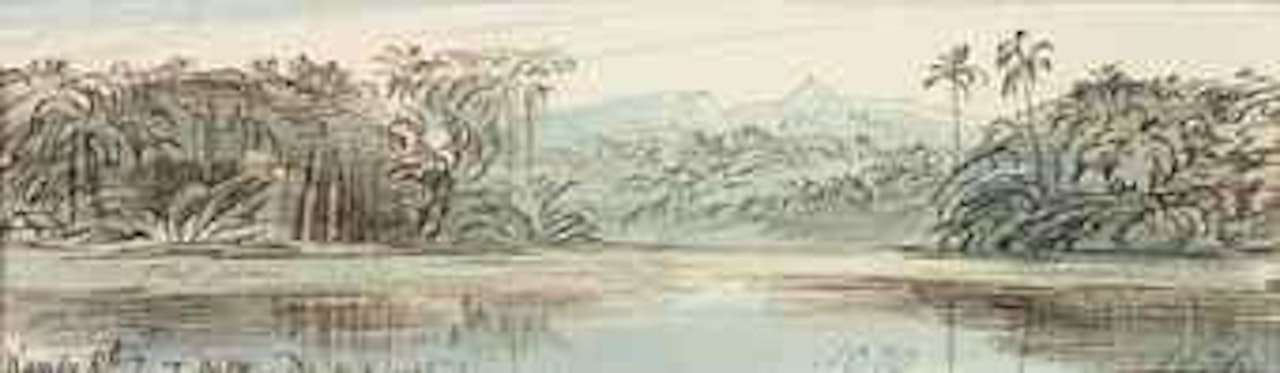 A view from Kandy railway with Adam's Peak on the horizon, Ceylon (Sri Lanka) by Edward Lear