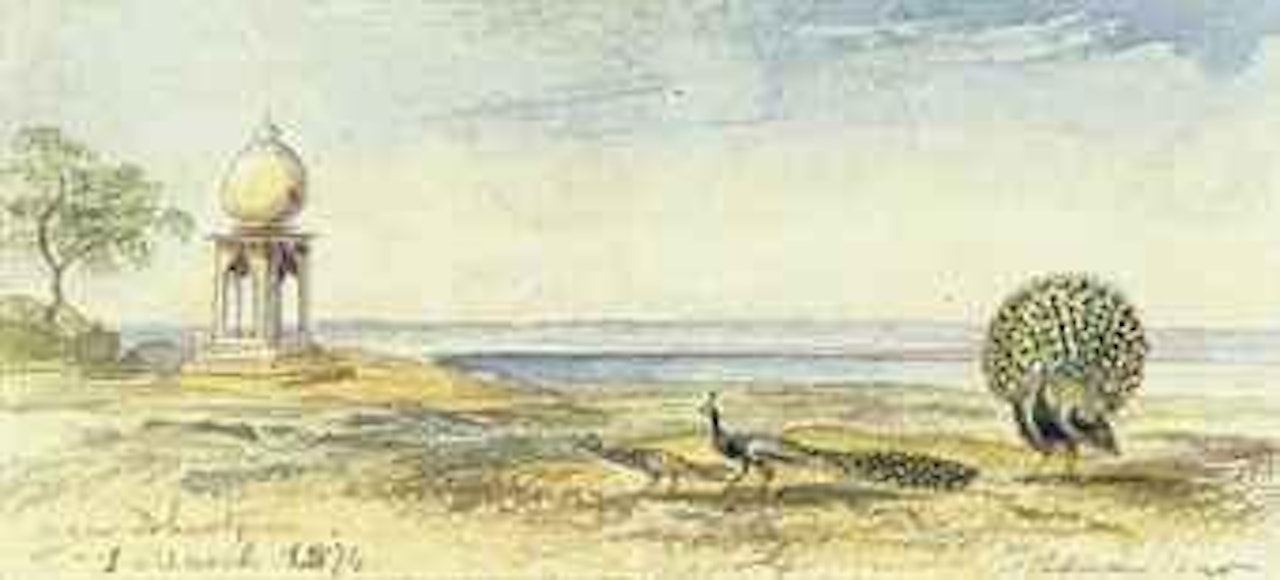 Peacocks near Bhurtpore, Northern India by Edward Lear