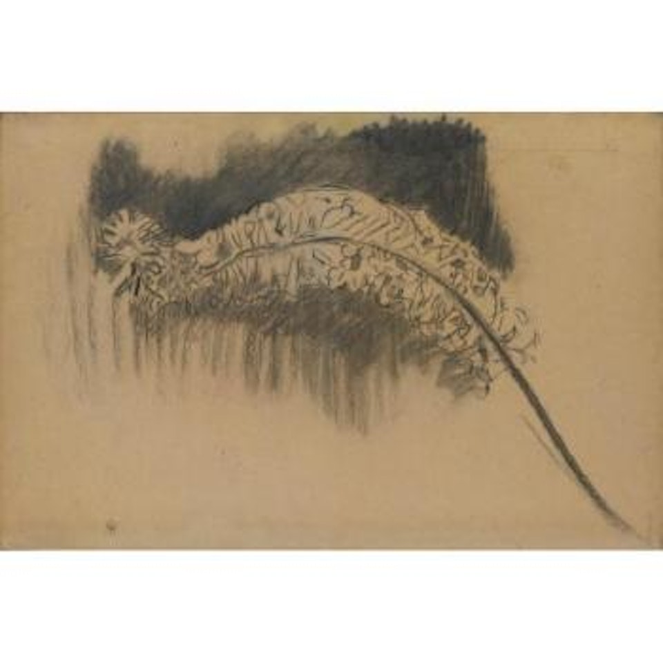 Foxtail Lily: Study V by Piet Mondrian