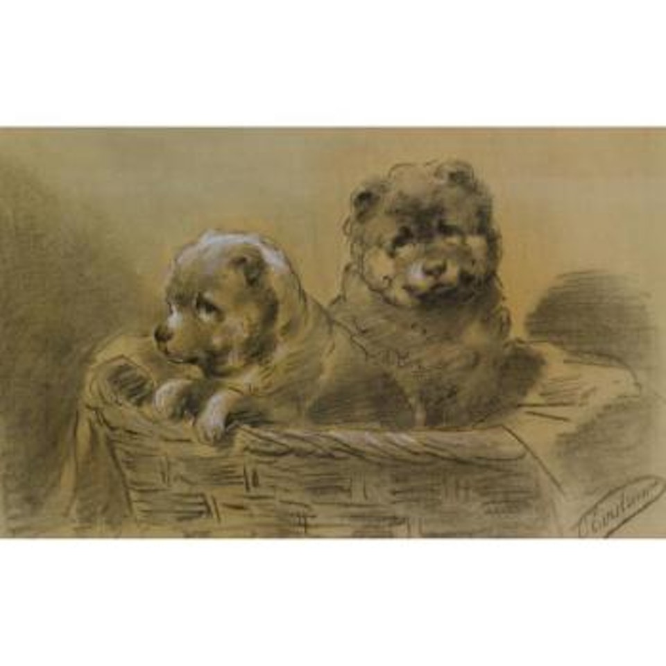 Two St Bernard Puppies by Otto Eerelman