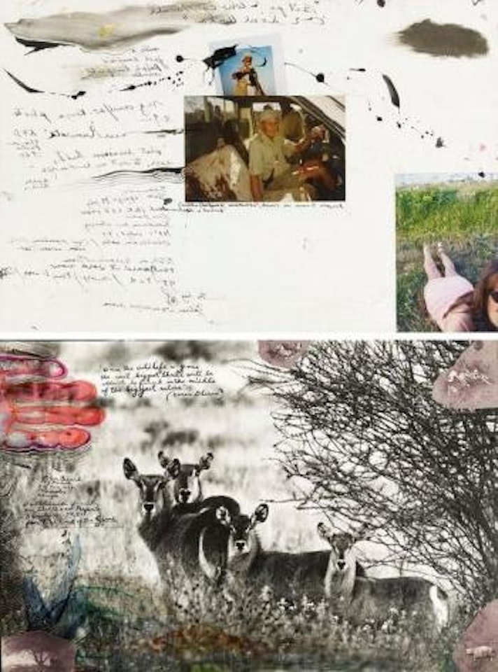 Waterbuck family by Peter Beard