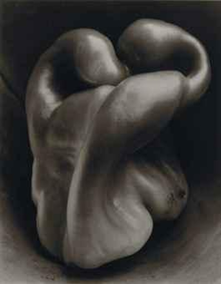 Pepper #30 by Edward Weston