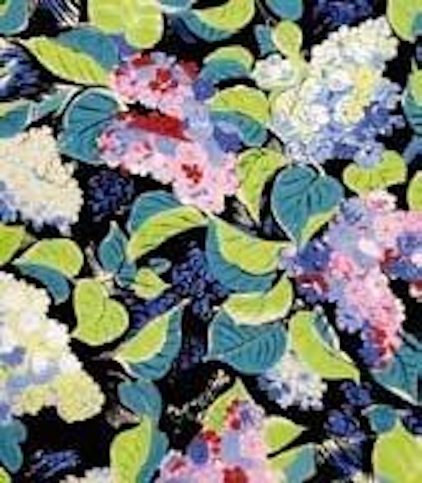 Hydrangeas sur fond noir by Raoul Dufy