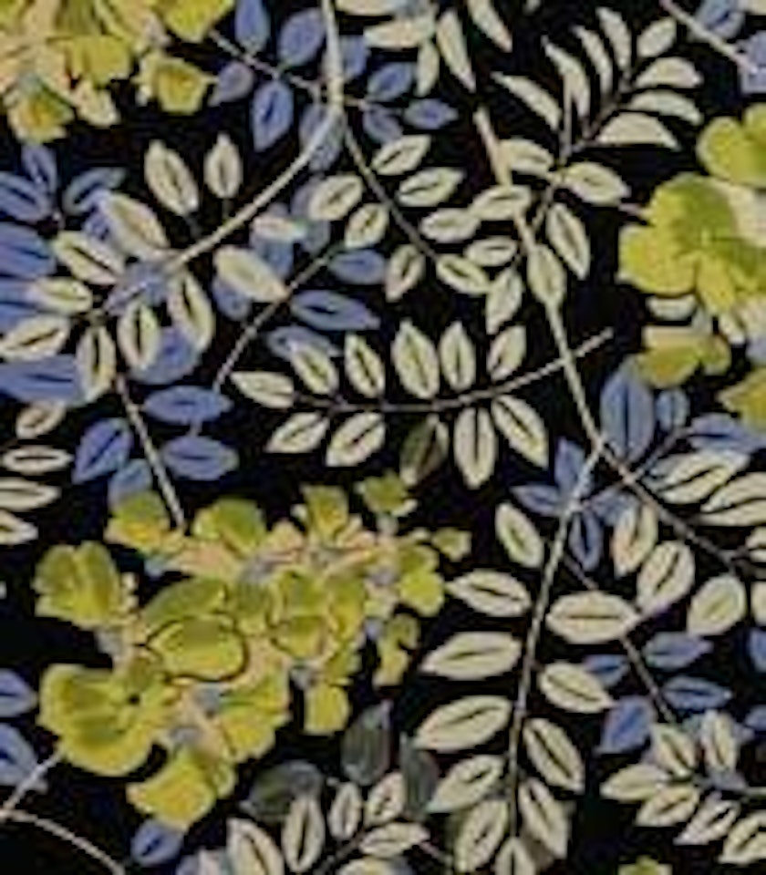 Fleurs et feuillage d'acadias by Raoul Dufy