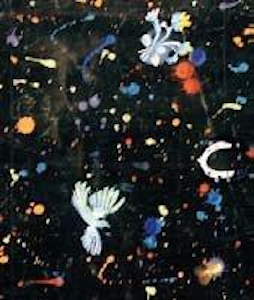 Fond noir tacheté aux comètes avec oiseau de paradis, papillons, fer à cheval et fleurs by Raoul Dufy