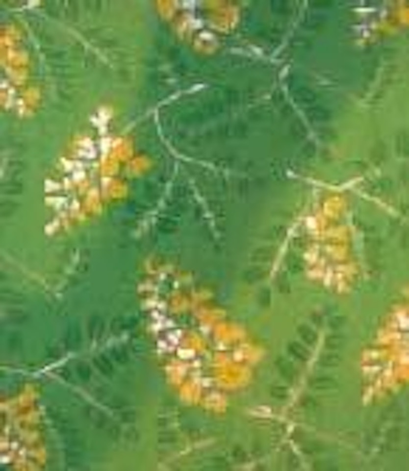 Fleurs jaunes et feuilles d'acacia sur fond vert by Raoul Dufy