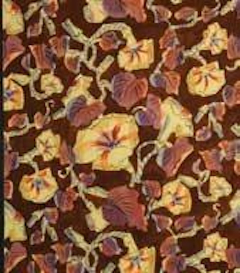 Liserons sur fond marron by Raoul Dufy