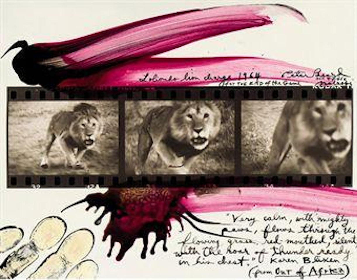 Lolindo Lion Charge by Peter Beard