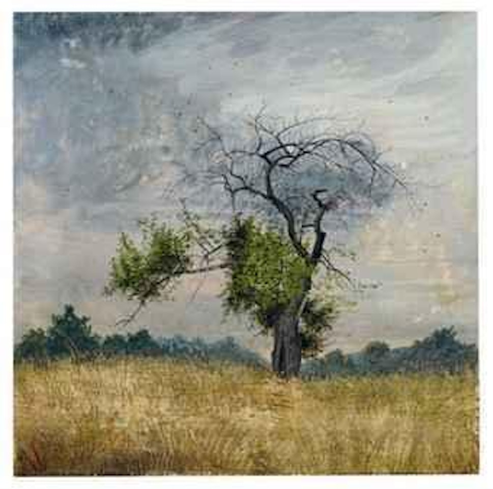 Untitled (#379) by Joan Nelson
