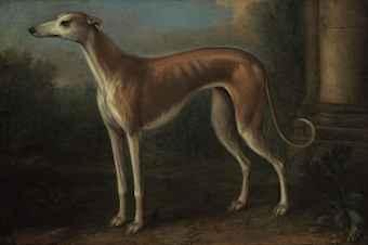A Greyhound in a landscape by John Wootton