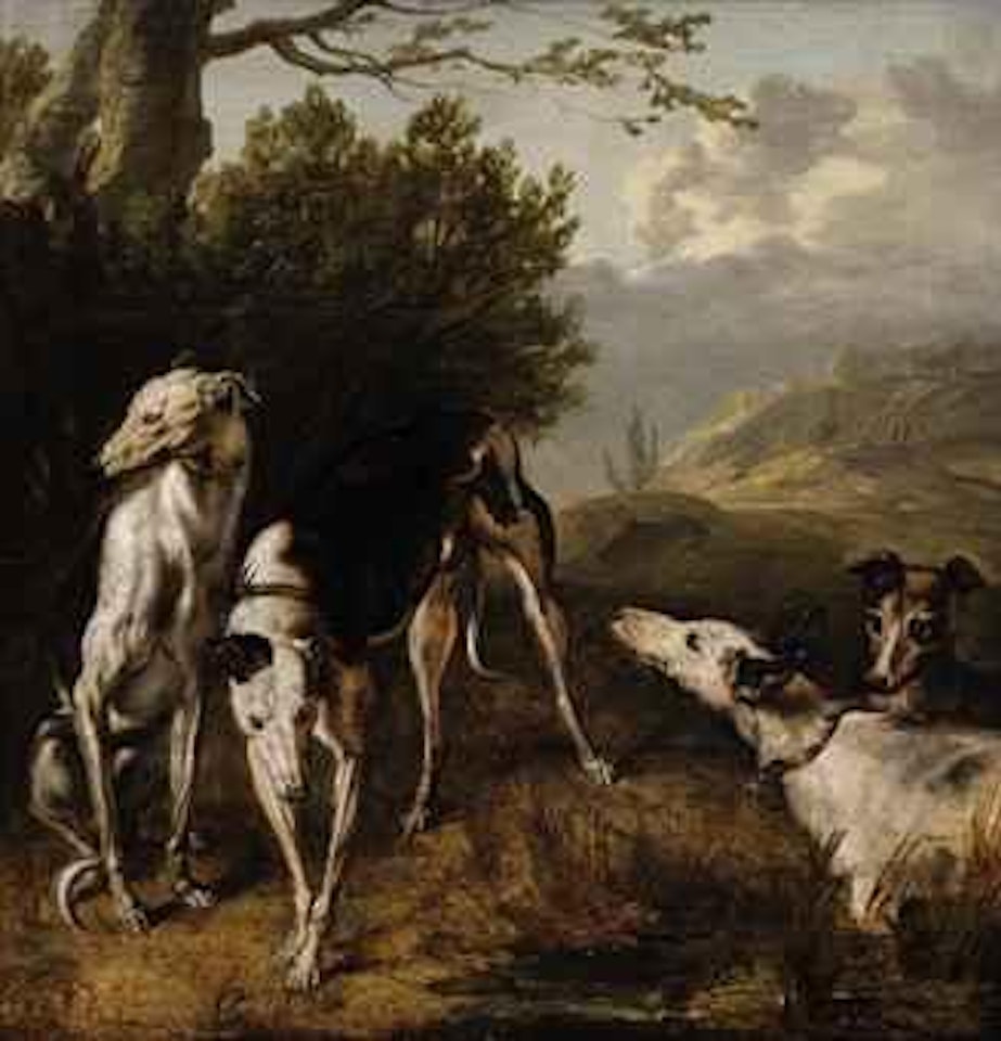 Four greyhounds in a wooded landscape by Flemish School