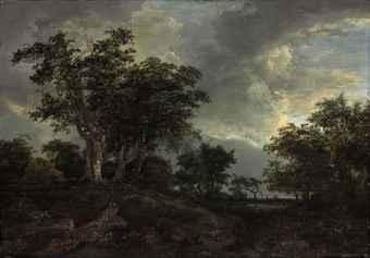 A wooded landscape with a pond by Jacob Salomonsz. van Ruysdael