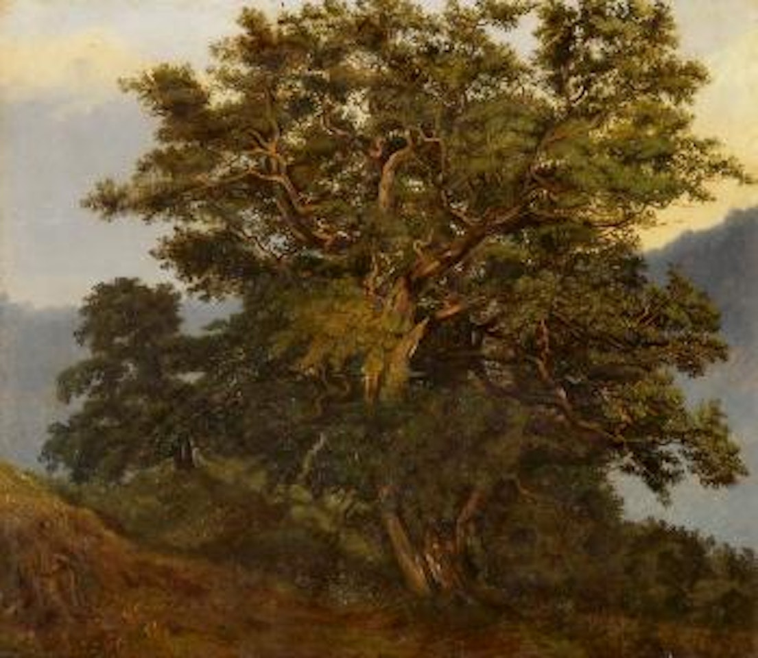 Baum mit Weg by Alexandre Calame