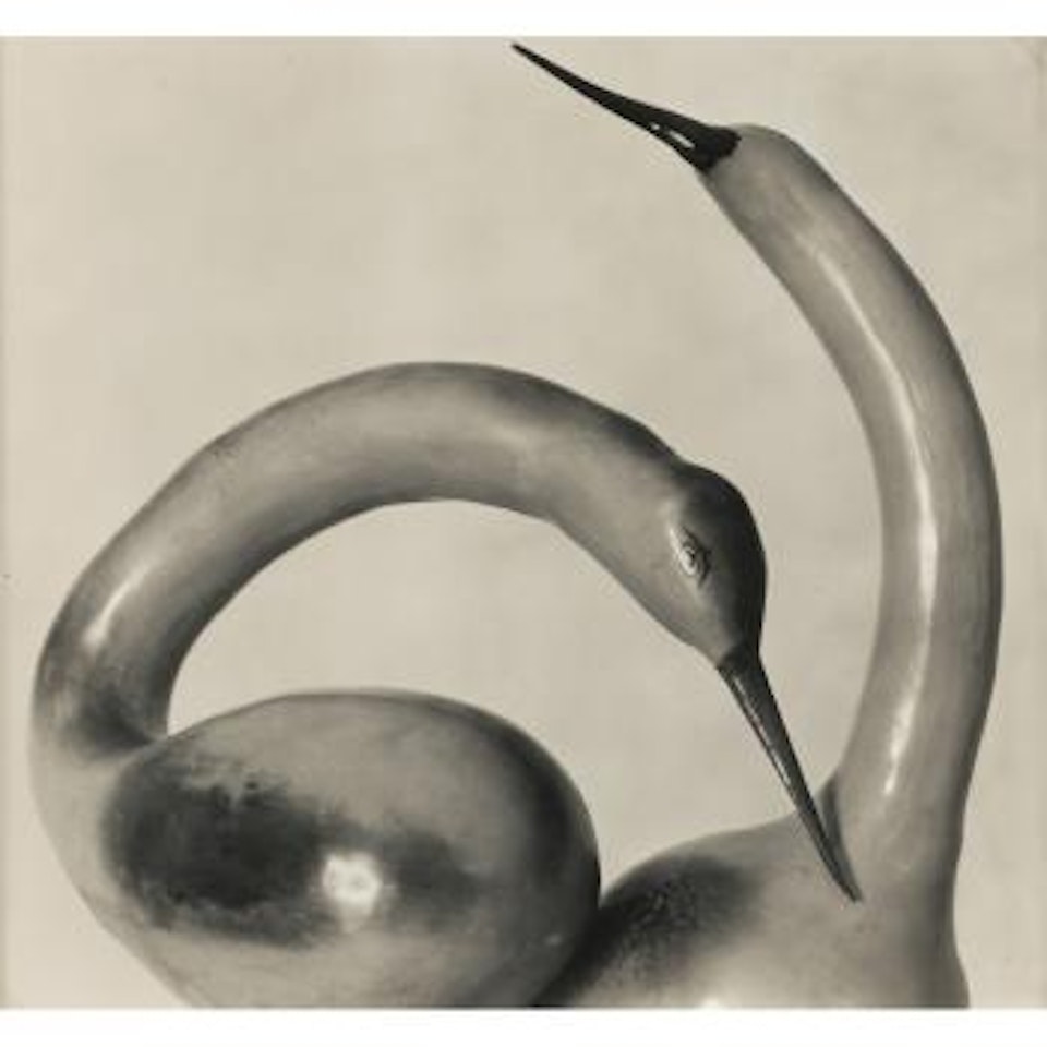 Two Swan Gourds by Edward Weston