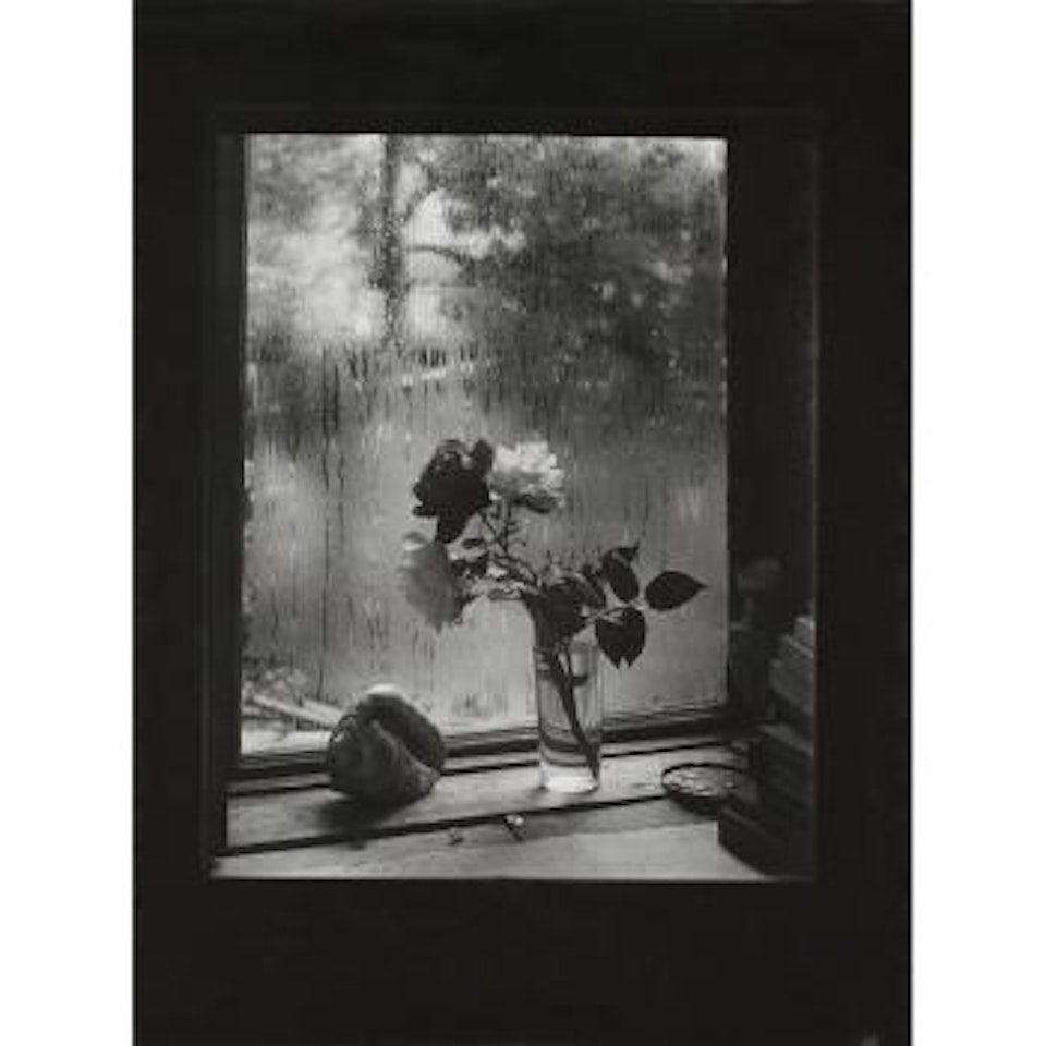 Last Roses (Window Of My Studio) by Josef Sudek