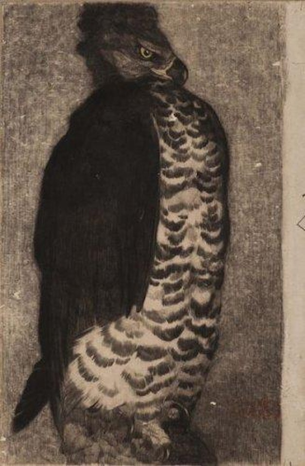 Aigle belliqueux by Paul Jouve