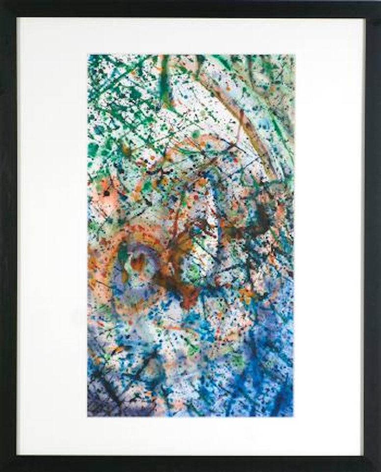 #18 by Sam Francis