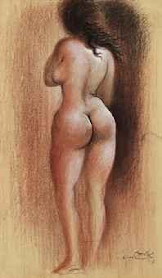 Desnudo femenino de espaldas by Salvador Dali