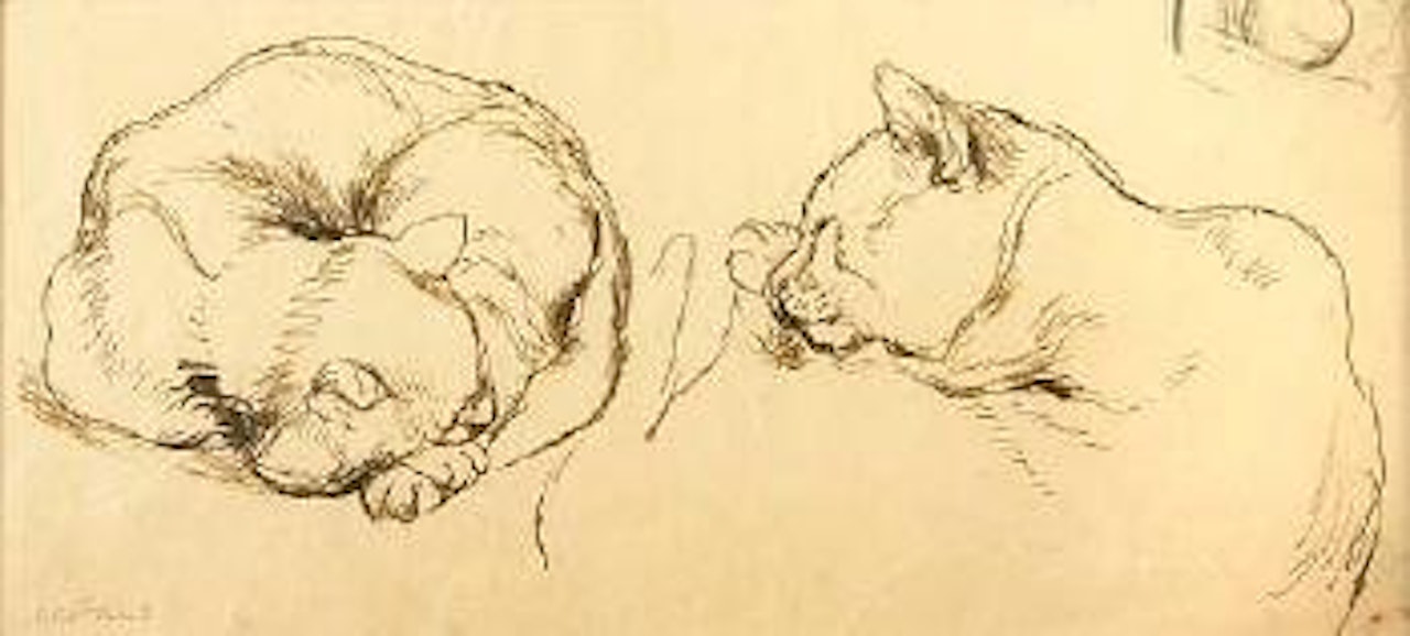Tom snoozing by Paul Cadmus
