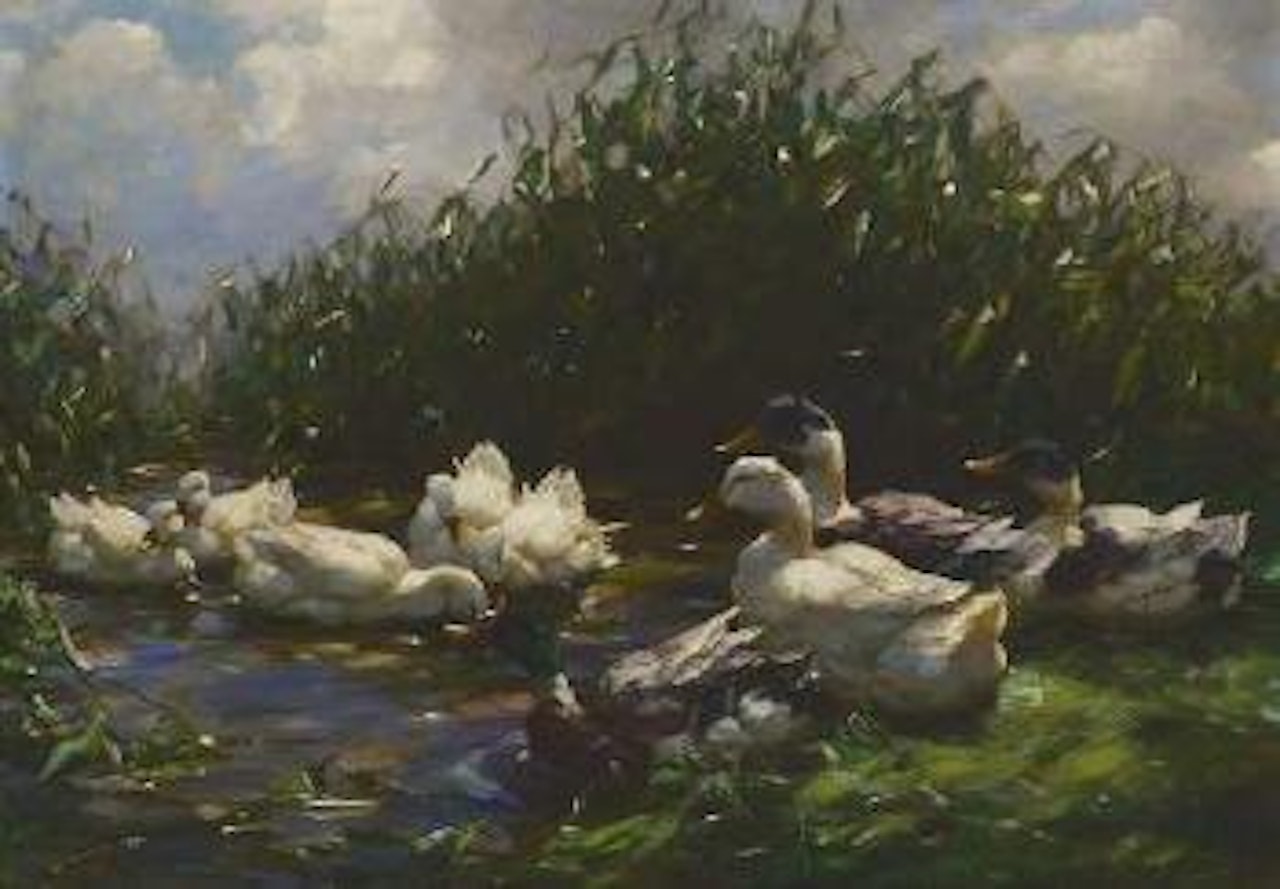 Neun Enten im Schilf by Alexander Koester