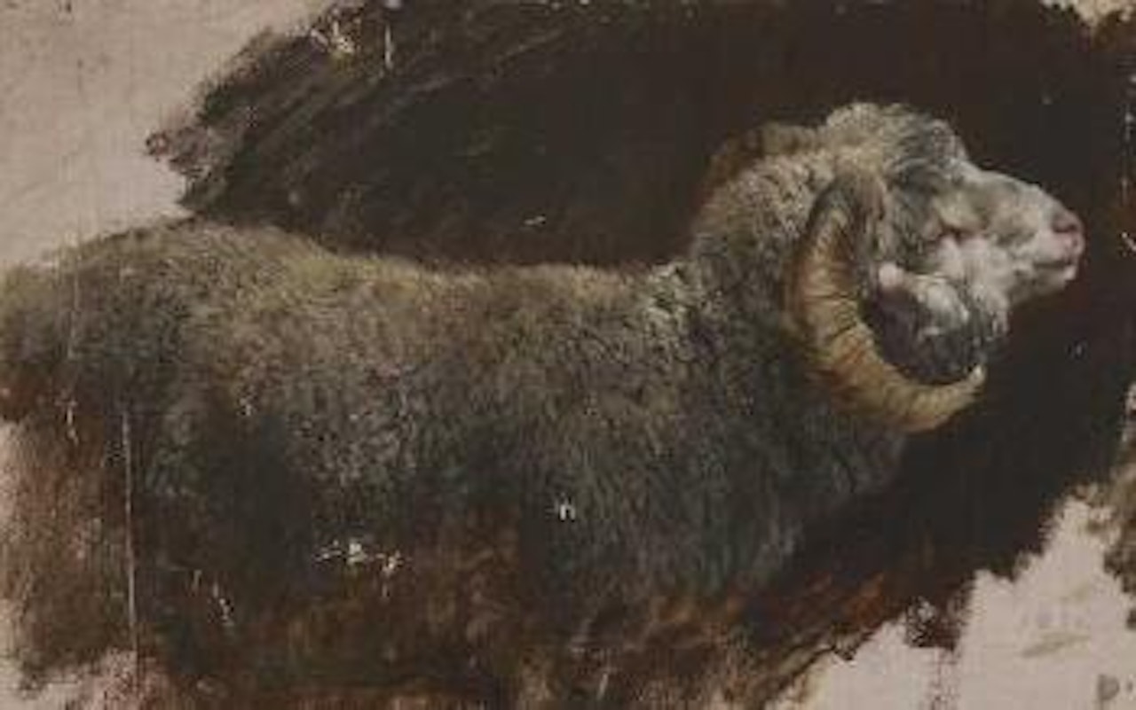 Widder by Heinrich von Zugel