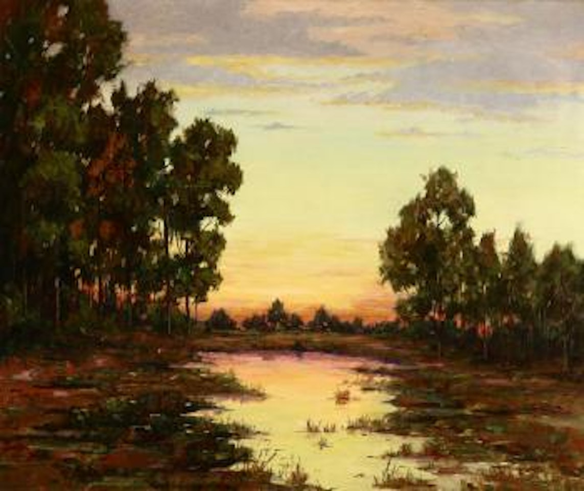 Eucalyptus sunset by Angel Espoy