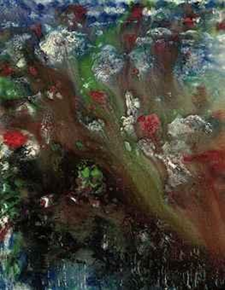 Flower explosion by Thanos Tsingos