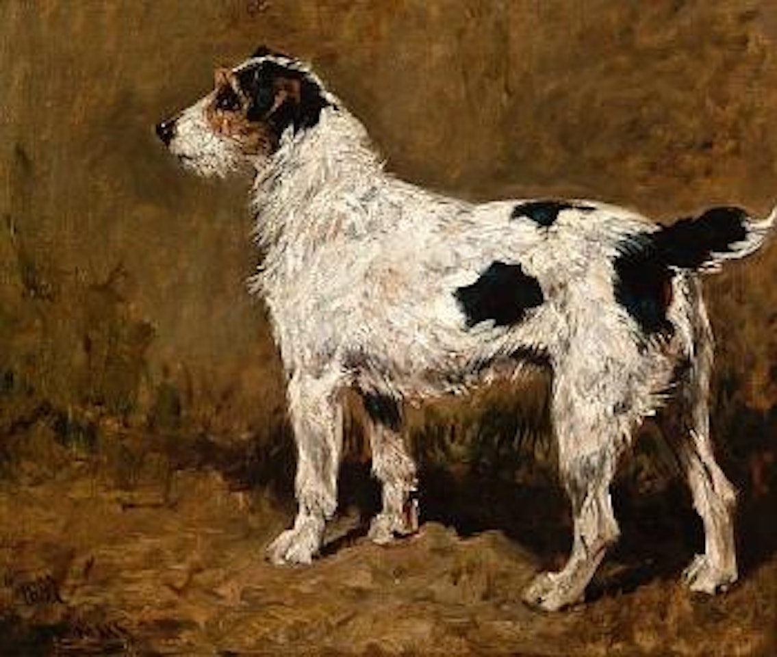 A wire-haired fox terrier by John Emms