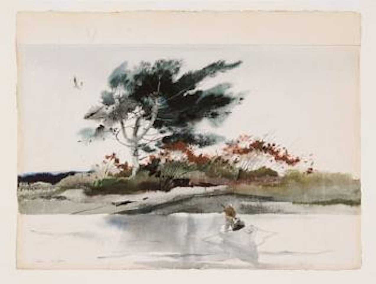 Shore pine by Andrew Wyeth