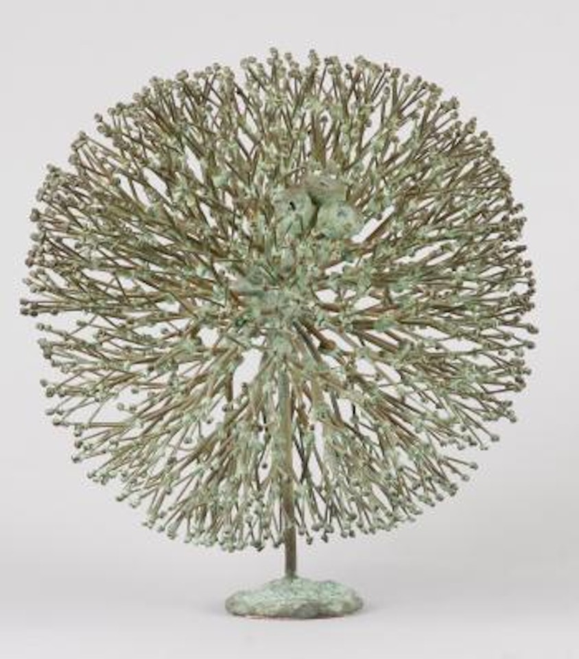 Bush by Harry Bertoia