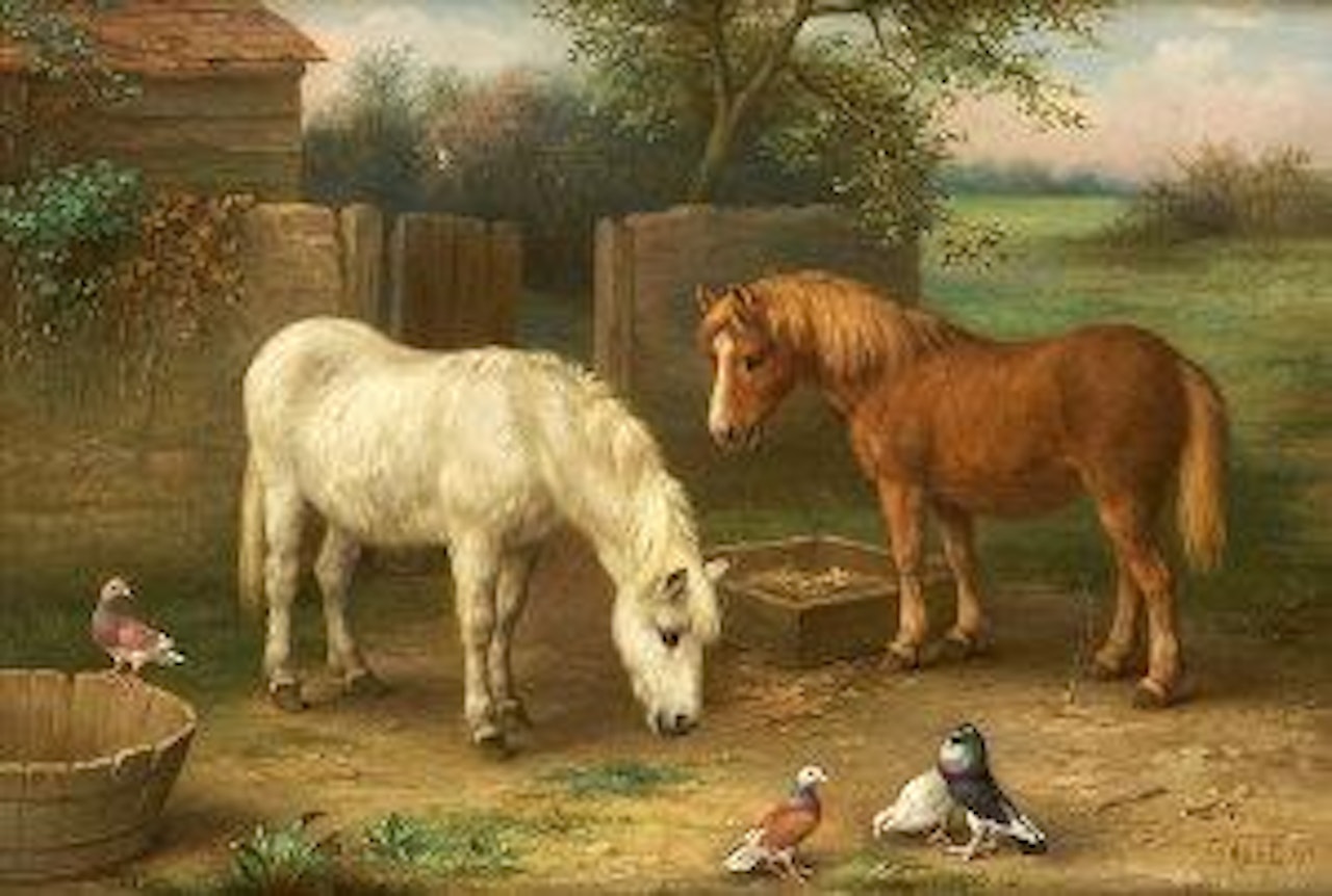 A grey and a chestnut pony with pigeons by a gate by Edgar Hunt