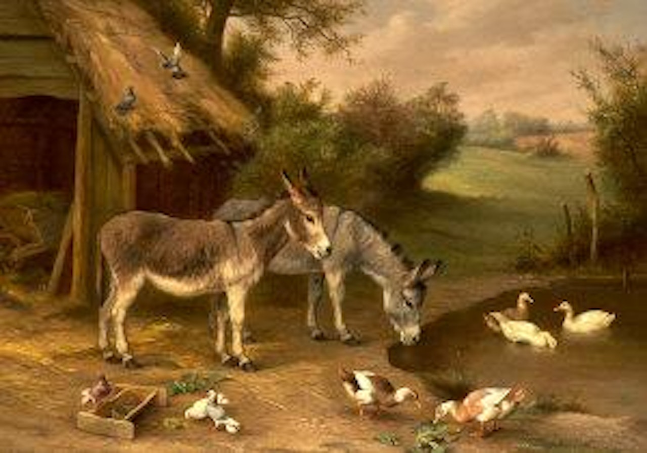 Two donkeys with ducks and pigeons by a pond by Edgar Hunt