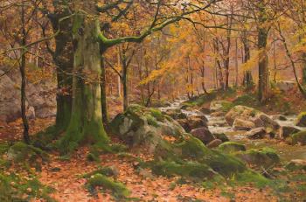 Herbst am Waldbach by Walter Moras