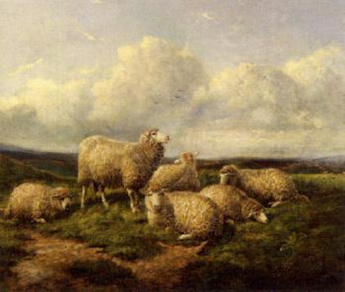 Schafe in Heidelandschaft by Thomas Sidney Cooper
