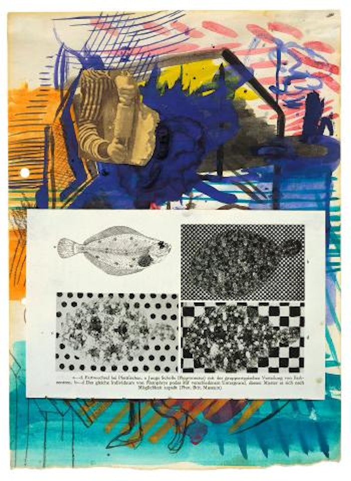 Farbwechsel bei Plattfischen by Sigmar Polke